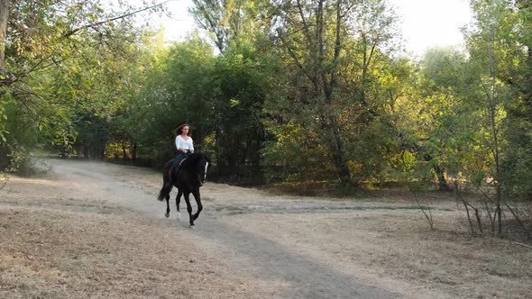 Beautiful Woman Walking with a Black Horse in the Park