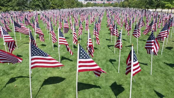 Park filled with American Flags waving in the wind