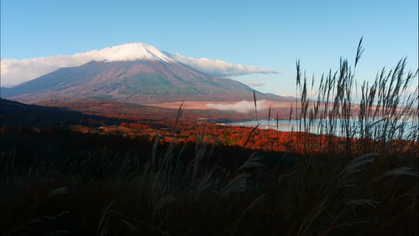 Beautiful nature in Kawaguchiko with Mountain Fuji in Japan