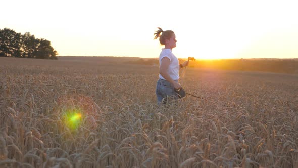 Young Girl Holding Wheat Stalks in Hand and Jogging with Her Siberian Husky on Leash Through Golden