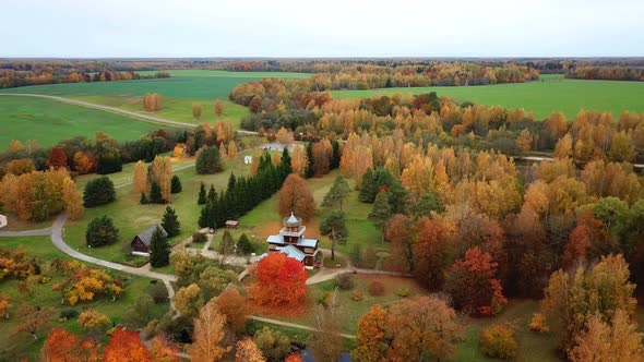 Golden Autumn In A Country Estate