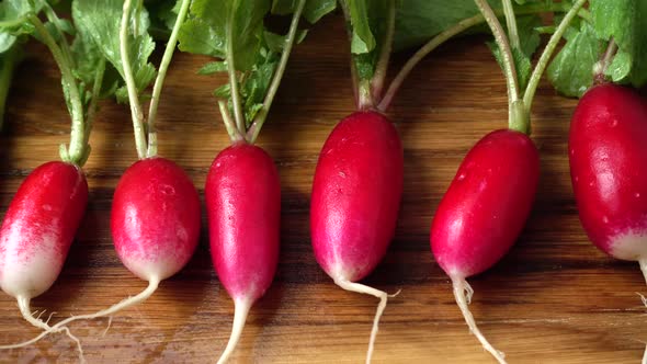 Radish Fruits 5