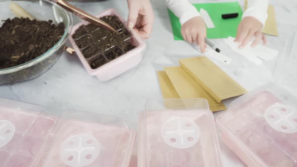 Little Girl Helping Planting Seeds in Seed Propagator with Soil