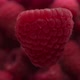 Closeup of Raspberry Rotating and Falling To Raaspberry Background - VideoHive Item for Sale