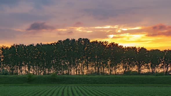 Sunset with Clouds and Trees