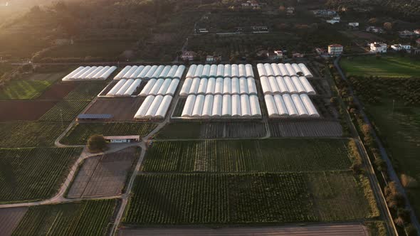 Greenhouse at Sunset Light