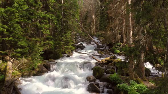 Mountain River in the Wood