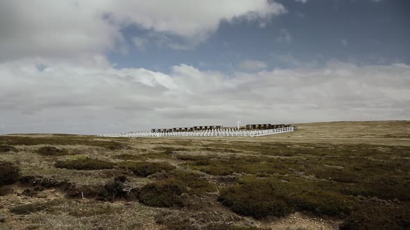Tombstones at Darwin Cemetery, Falkland Islands  (Islas Malvinas).