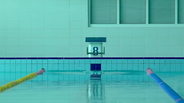 Young Girl Swimmer, That Jumping and Diving Into Indoor Sport Swimming Pool.