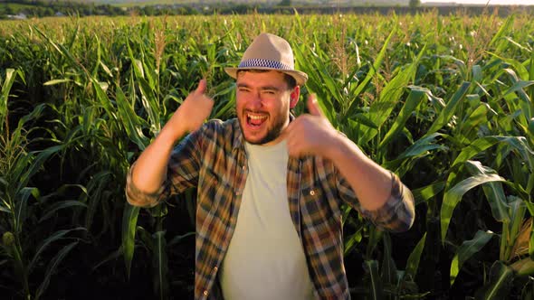 Top View Looking at Camera a Young Energetic Man Farmer in Corn Scream Yes Show Thumb Up Laugh
