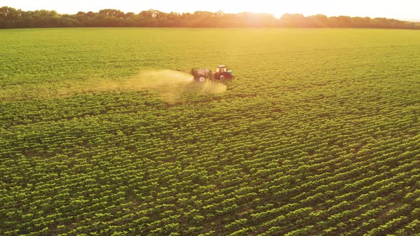 Aerial View of Farming Tractor Spraying on Field with Sprayer Herbicides and Pesticides at Sunset