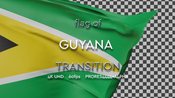 Flag of Guyana transition | UHD | 60fps alt