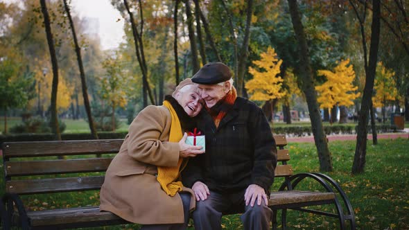Happy Aged Woman Smiling Talking and Cuddling to Her Husband Holding Gift Box Sitting on Bench in