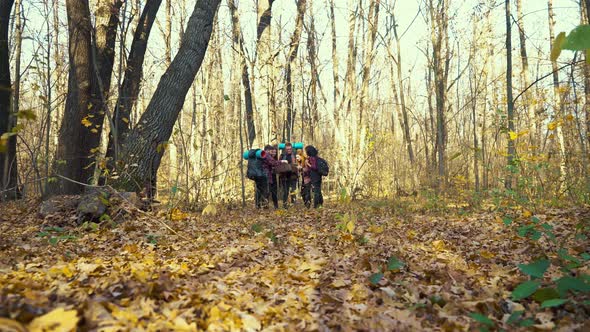 Group of Hikers Looking at Map for Direction in Autumn Forest