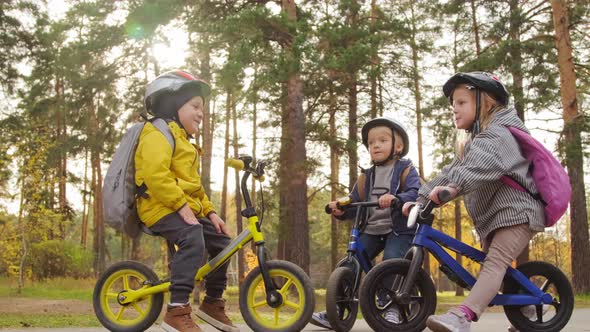 Cute Little Children on Balance Bicycles in Park