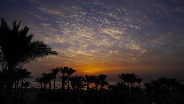 Palms on Resort Beach and Sunrise Over Sea