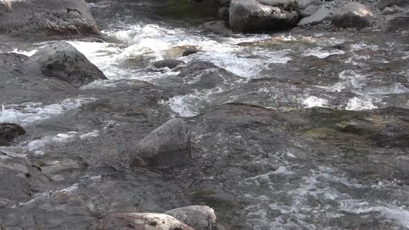 Mountain River Flows Down Stone Bed