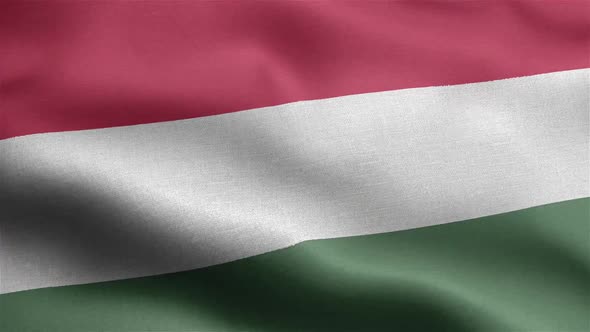 Hungary Flag Seamless Closeup Waving Animation