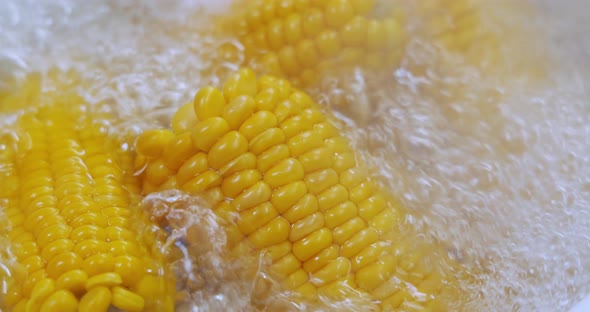 Corn Cobs in Boiling Hot Water