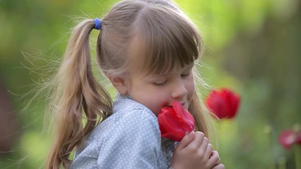 Young pretty child girl playing with a red tulip flower in summer outdoors.
