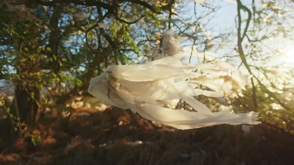 Climate Change Emergency Closeup View of Plastic Bag Tied Green Tree Branches