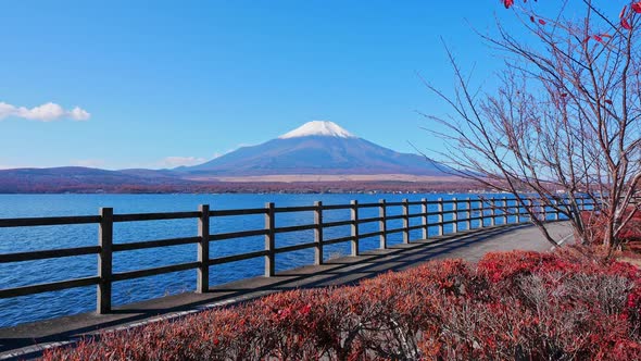 Beautiful nature in Kawaguchiko with Mountain Fuji in Japan