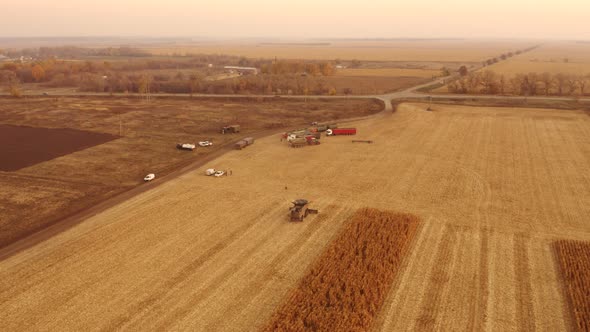 Aerial View Agricultural Technique Gathering Corn Crop