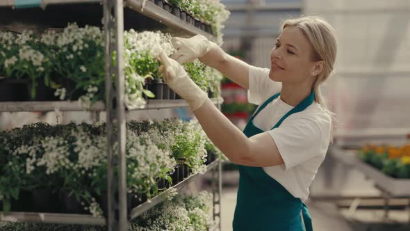Happy Female Gardener Takes Care of the White Flowers