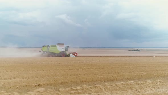Agricultural Combines Harvesting Wheat On The Big Field.