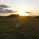 The Mother and Boy Run with a Kite on a Green Field - VideoHive Item for Sale