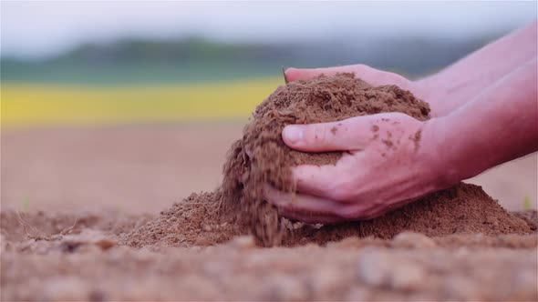 Farmer Examining Organic Soil in Hands, Farmer Touching Dirt in Agriculture Field