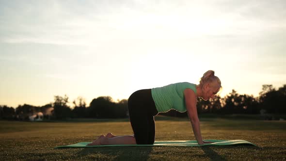 Sporty Beautiful Woman Practicing Yoga in Park