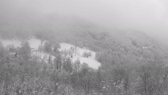 Aerial View of a Frozen Forest with Snow Covered Trees at Winter During Foggy Journey