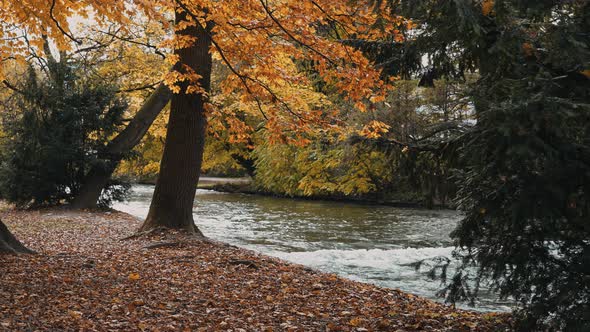 Real Time Shot of the Rapid Flow of the River