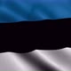 Real Texture Waving Flag of the Estonia - VideoHive Item for Sale