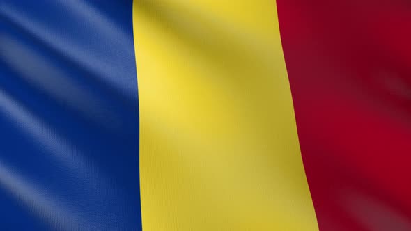 Flag of The Romania