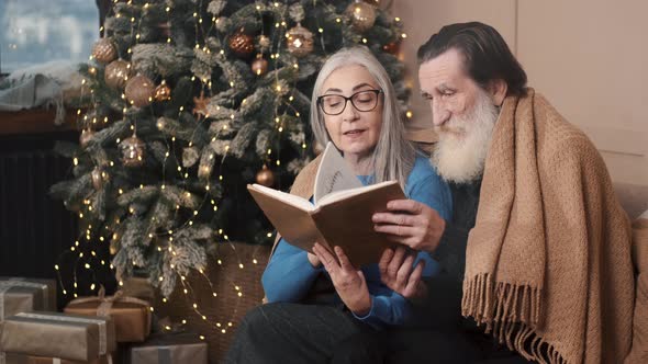 Senior Couple Spending Happy Time at Home Reading a Book Together with a Decorated Christmas Tree