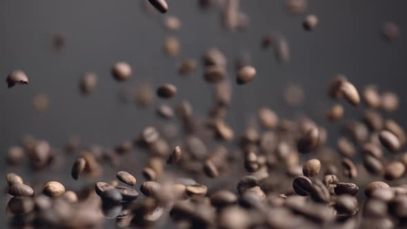 Coffee Seeds Dawnfall Closeup