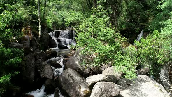 Waterfall surrounded by green nature and trees