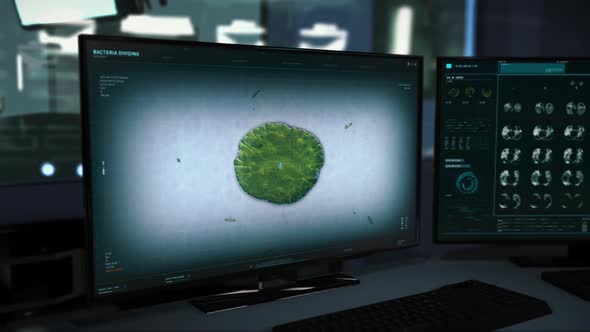 Examining the reproduction bacteria cell division at the health care facility alt