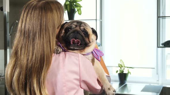 The Young Nurse Is Hugging the Pug Dog