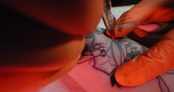 Tattoo Artist Draws a Picture on the Hand of a Young Woman, the Process of Creating a Tattoowith