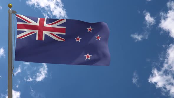 New Zealand Flag On Flagpole