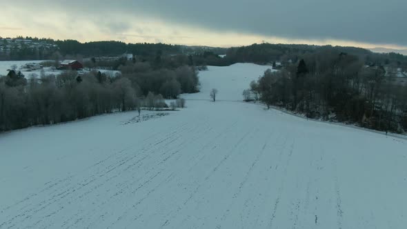 Drone Footage in a Field