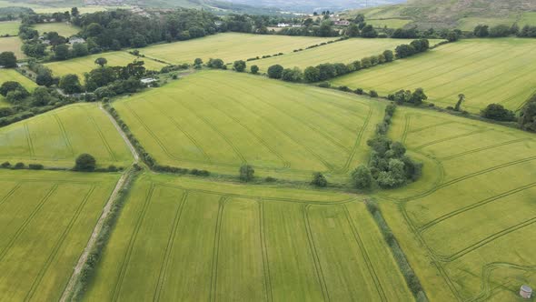 Stunning Green Fields With Lush Trees In Wicklow County, Ireland - aerial