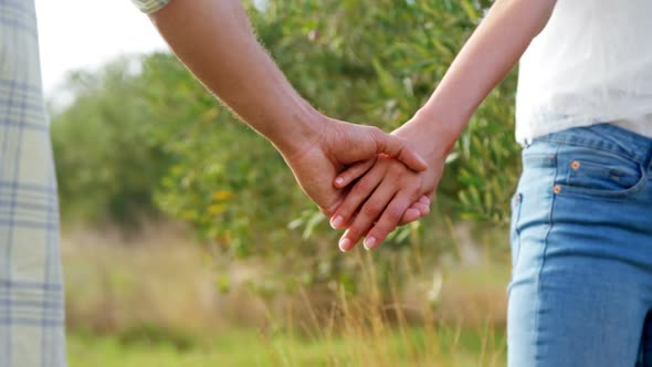 Mid-section of couple holding hands in olive farm 4k