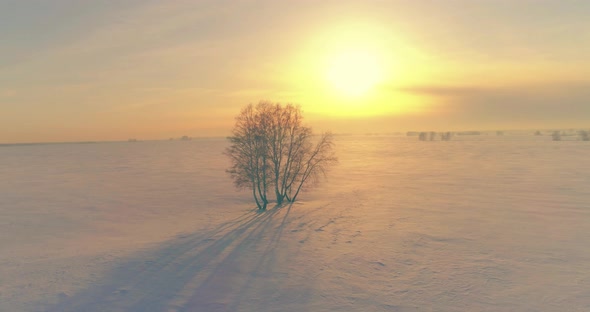 Aerial View of Cold Winter Landscape Arctic Field Trees Covered with Frost Snow Ice River and Sun