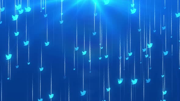Falling Twitter Icon Background