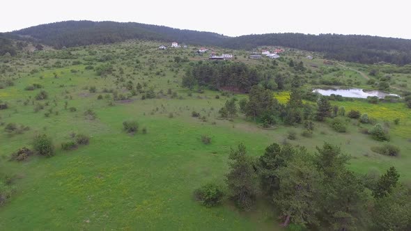 Forest Village and Meadow