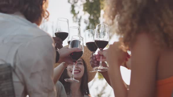 Cheerful Friends Toasting with Wine Glasses at Outdoor Summer Dinner